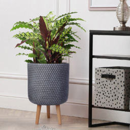 wilko Honeycomb Green Grey Cylinder Garden Indoor Planter on Legs 47cm - Instadecor - thumbnail 5