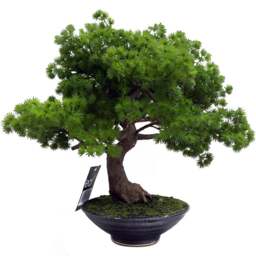 Botanik Pine Bonsai Artificial Tree 50cm - Size: 50 x 60 x 60cm - Green - Wilko
