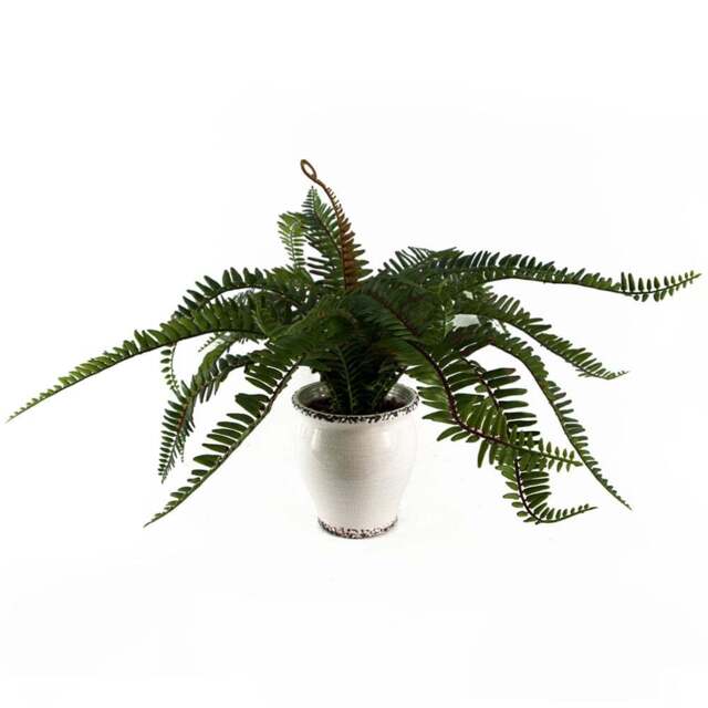Leaf Bushy Fern Artificial Plant in Planter 40cm - Size: 40 x 60 x 60cm - Green - Wilko - image 1