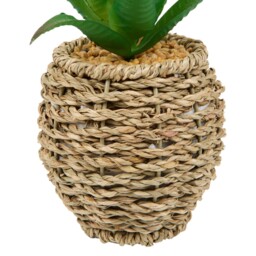 Succulent in Water Hyacinth Pot Natural - Wilko - thumbnail 4