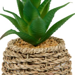 Succulent in Water Hyacinth Pot Natural - Wilko - thumbnail 3