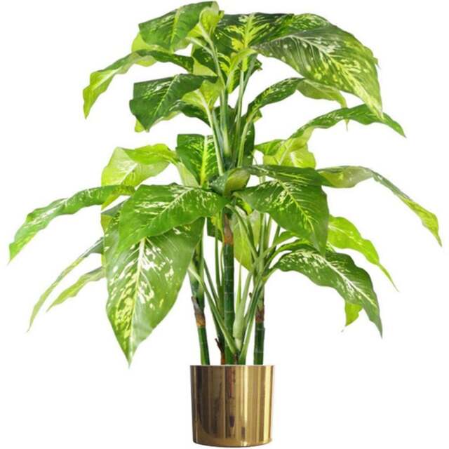Botanik Spotted Aglaonema Artificial Plant in Gold Planter 3.3ft - Size: 100 x 70 x 70cm - Green - Wilko - image 1