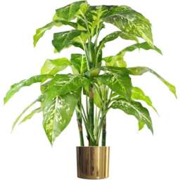 Botanik Spotted Aglaonema Artificial Plant in Gold Planter 3.3ft - Size: 100 x 70 x 70cm - Green - Wilko - thumbnail 1