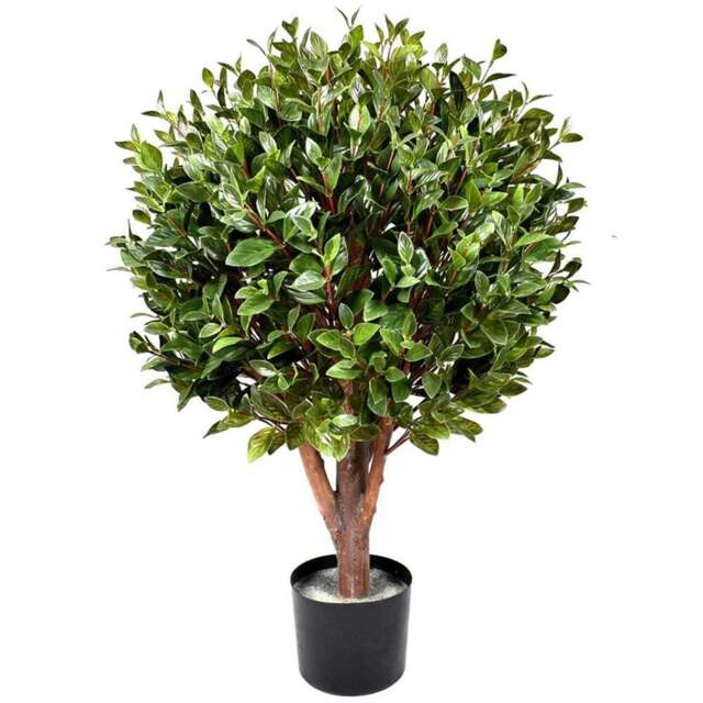 Leaf Artificial Gloxinia Single Ball Topiary Tree with Natural Trunk 90cm - Size: 90 x 50 x 50cm - Green - Wilko - image 1