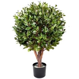 Leaf Artificial Gloxinia Single Ball Topiary Tree with Natural Trunk 90cm - Size: 90 x 50 x 50cm - Green - Wilko - thumbnail 1