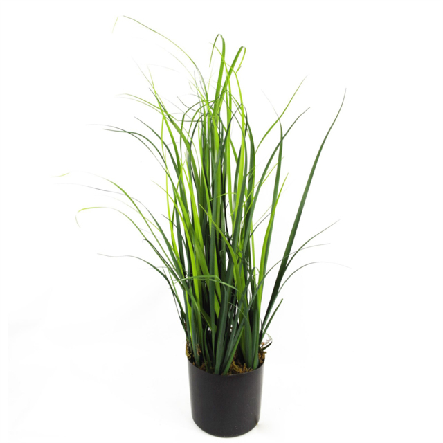 Leaf Artificial Grass Plant Foliage Lemongrass Plant Pot 1.9ft - Size: 60 x 25 x 25cm - Green - Wilko - image 1