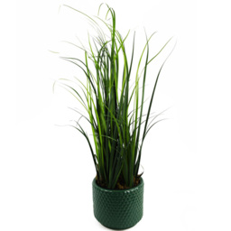 Leaf Artificial Grass Plant Foliage Lemongrass Plant Pot 1.9ft - Size: 60 x 25 x 25cm - Green - Wilko - thumbnail 3