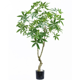 Botanik Pachira Money Tree Artificial Plant in Pot 6ft - Size: 180 x 90 x 90cm - Green - Wilko - thumbnail 1