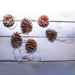 St Helens Brown Hanging Pinecones Ornaments 6 Pack - Size: 150 x 55 x 55cm - Wilko - thumbnail 5