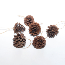 St Helens Brown Hanging Pinecones Ornaments 6 Pack - Size: 150 x 55 x 55cm - Wilko - thumbnail 4