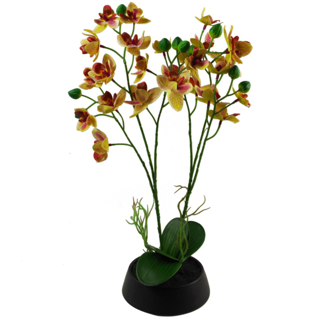 Leaf Pink and Yellow Artificial Orchid Plant in Ceramic Planter 43cm - Size: 43 x 25 x 17cm - Wilko - image 1