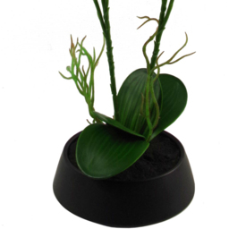 Leaf Pink and Yellow Artificial Orchid Plant in Ceramic Planter 43cm - Size: 43 x 25 x 17cm - Wilko - thumbnail 5
