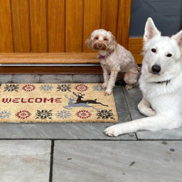 Coco & Coir Stag Xmas Coir Door Mat 45 x 75cm - n/a - Coco & Coir ® - Wilko - thumbnail 6