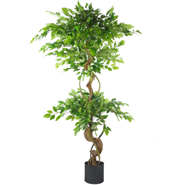 Botanik Japanese Fruticosa Ficus Artificial Tree with Twisted Trunk in Black Metal Planter 5ft - Size: 10 x 60 x 60cm - Green - Wilko - image 1