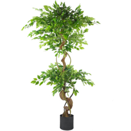 Botanik Japanese Fruticosa Ficus Artificial Tree with Twisted Trunk in Black Metal Planter 5ft - Size: 10 x 60 x 60cm - Green - Wilko - thumbnail 1