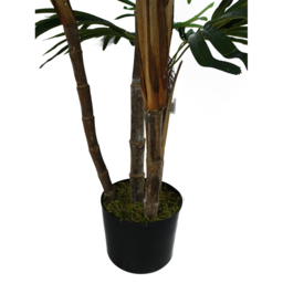 Botanik Raphis Palm Artificial Tree in Pot 3ft - Size: 100 x 80 x 80cm - Green - Wilko - thumbnail 5