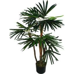 Botanik Raphis Palm Artificial Tree in Pot 3ft - Size: 100 x 80 x 80cm - Green - Wilko - thumbnail 1