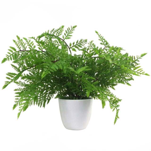 Botanik Southern Wood Fern Artificial Tree in Pot 30cm - Size: 30 x 40 x 40cm - Green - Wilko - image 1