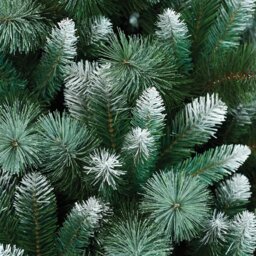 Emerald Pine Tree - 6.5ft - Size: 6ft - Green - Wilko - thumbnail 4