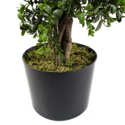 Leaf Artificial Spiral Buxus Tree 120cm - Size: 120 x 40 x 40cm - Green - Wilko - thumbnail 5