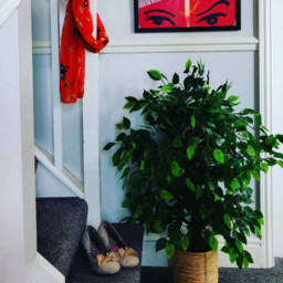 Leaf Large Ficus Artificial Tree in Pot 90cm - Size: 90 x 60 x 60cm - Green - Wilko - thumbnail 3