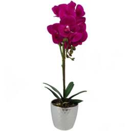 Botanik Dark Pink Phalaenopsis Orchid Artificial Plant in Silver Pot 50cm - Size: 50 x 20 x 20cm - Wilko