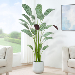 Bird of Paradise Artificial Indoor Plant 140cm - Size: 140 x 30 x 30cm - Green - MCC - Wilko - thumbnail 3