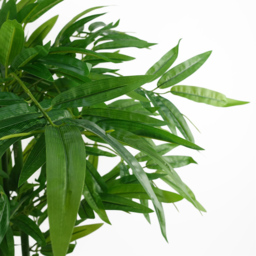 Leaf Bamboo Artificial Plant Pot in Pot 90cm - Size: 90 x 70 x 70cm - Green - Wilko - thumbnail 3