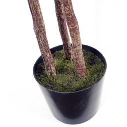 Botanik Fiddle Fig Artificial Tree in Pot 6ft - Size: 180 x 70 x 70cm - Green - Wilko - thumbnail 5