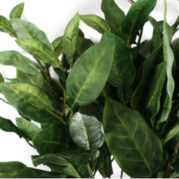 Leaf Ficus Foliage Artificial Stem 90cm 6 Pack - Size: 90 x 30 x 10cm - Green - Wilko - thumbnail 3