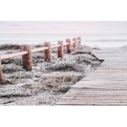 Beach Path Embellished Canvas - Pink - Wilko - thumbnail 4