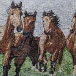 Velosso Chenille Tapestry Horse Filled Cushion 43 x 43cm 2 Pack - n/a - Wilko - thumbnail 3