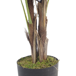 Leaf Natural Realistic Artificial Palm Tree 3.9ft - Size: 120 x 80 x 80cm - Green - Wilko - thumbnail 3
