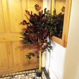 Leaf Dark Green and Red Ficus Artificial Tree in Pot 120cm - Size: 120 x 60 x 60cm - Wilko - thumbnail 3
