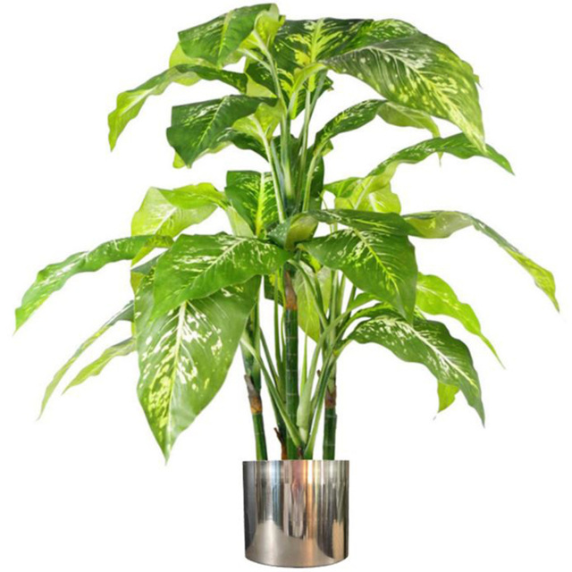 Botanik Spotted Aglaonema Artificial Plant in Silver Metal Planter 3.3ft - Size: 100 x 70 x 70cm - Green - Wilko - image 1