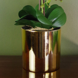 Botanik White Orchid Artificial Plant in Gold Pot 52cm - Size: 52 x 20 x 30cm - Wilko - thumbnail 5