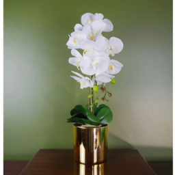 Botanik White Orchid Artificial Plant in Gold Pot 52cm - Size: 52 x 20 x 30cm - Wilko - thumbnail 3
