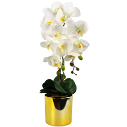 Botanik White Orchid Artificial Plant in Gold Pot 52cm - Size: 52 x 20 x 30cm - Wilko - thumbnail 1