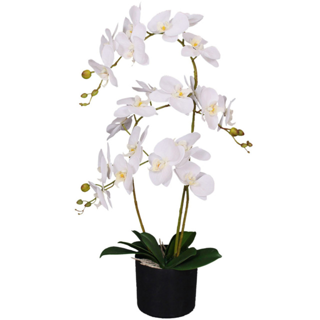Leaf Soft White Orchid 3 Stems Artificial Plant Pot 65cm - Size: 65 x 40 x 40cm - Wilko - image 1