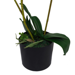Leaf Soft White Orchid 3 Stems Artificial Plant Pot 65cm - Size: 65 x 40 x 40cm - Wilko - thumbnail 3