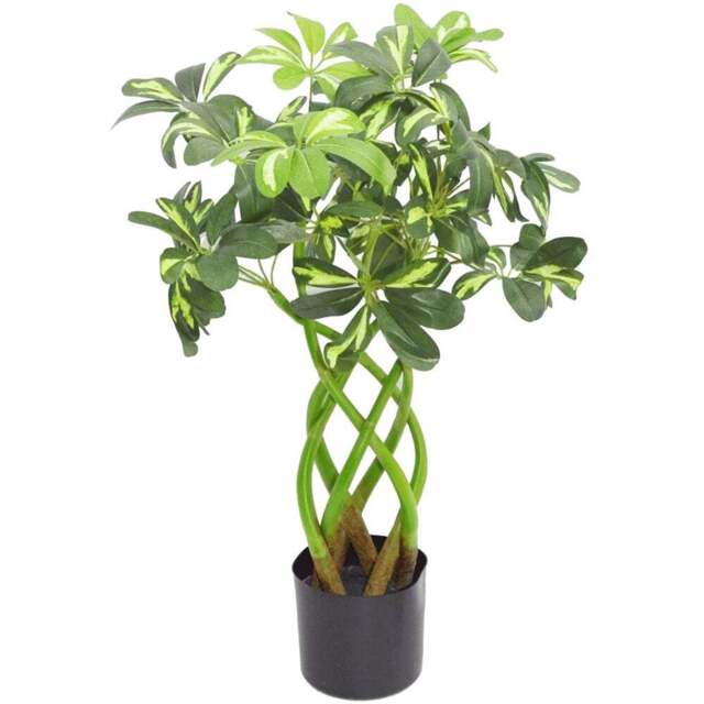 Botanik Arboricola Twisted Stem Bonsai Bush Artificial Tree in Pot 2.2ft - Size: 70 x 50 x 50cm - Green - Wilko - image 1