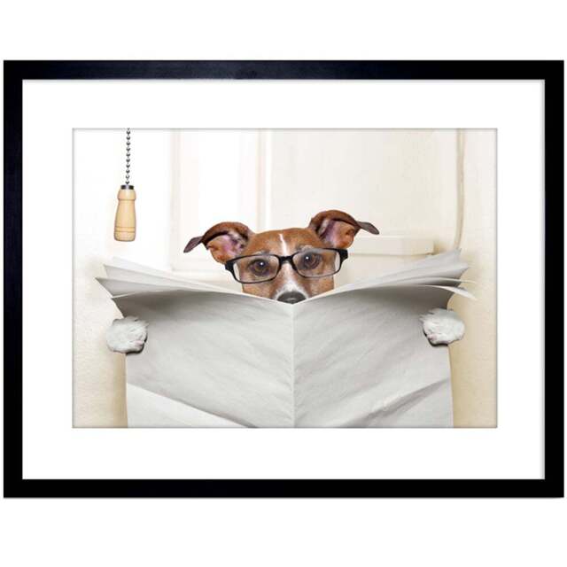 Wee Blue Coo Mock Jack Russell Toilet Reading Newspaper Framed Wall Art Print 23 x 18cm - Size: 25.9 x 20.6 x 1.5cm - White - Wilko - image 1