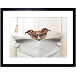 Wee Blue Coo Mock Jack Russell Toilet Reading Newspaper Framed Wall Art Print 23 x 18cm - Size: 25.9 x 20.6 x 1.5cm - White - Wilko - thumbnail 1