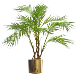 Botanik Polished Gold Finish Metal Planter 20 x 18cm - Size: 18 x 20 x 20cm - Wilko - thumbnail 5