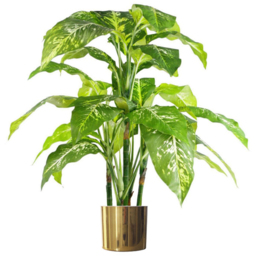 Botanik Polished Gold Finish Metal Planter 20 x 18cm - Size: 18 x 20 x 20cm - Wilko - thumbnail 6