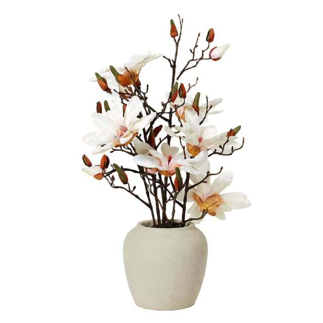 Magnolia Arrangement - Neutral - Wilko - image 1