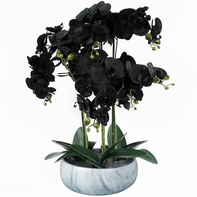 Leaf Black Orchid Artificial Plant with White Ceramic Planter 1.9ft - Size: 60 x 40 x 40cm - Wilko - image 1