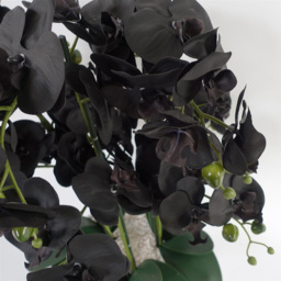 Leaf Black Orchid Artificial Plant with White Ceramic Planter 1.9ft - Size: 60 x 40 x 40cm - Wilko - thumbnail 5