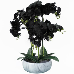 Leaf Black Orchid Artificial Plant with White Ceramic Planter 1.9ft - Size: 60 x 40 x 40cm - Wilko - thumbnail 1