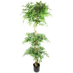 Leaf Fruticosa Ficus Triple Ball Topiary Artificial Tree in Pot 180cm - Size: 180 x 70 x 70cm - Green - Wilko - thumbnail 1
